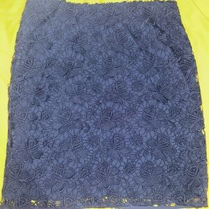 Banana Republic Navy Lace Skirt